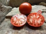 Beaverlodge Tomato Seeds