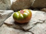 Beefsteak Tomato Abraham Brown Tomato