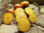 Beefsteak Tomato Alice's Dream Tomato