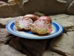 Beefsteak Tomato Becker's Blaue Dolgener Tomato