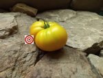Beefsteak Tomato Big Yellow Zebra Tomato