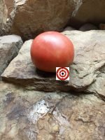 Beefsteak Tomato Blane's CPO x DCH Tomato
