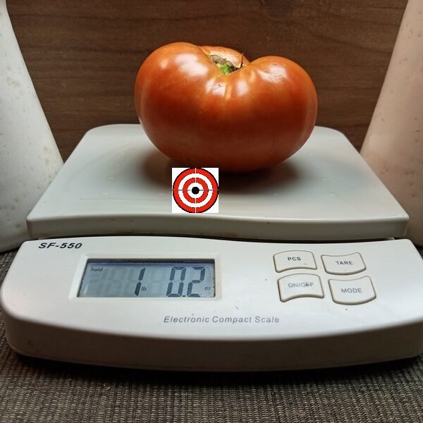 Believe it or Not Tomato