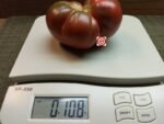 Black Master Tomato