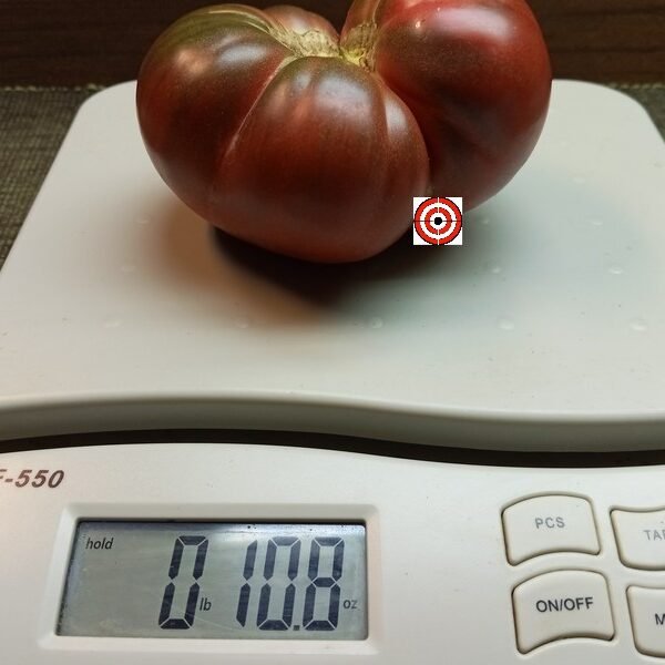 Black Master Tomato
