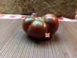 Black Master Tomato Seeds