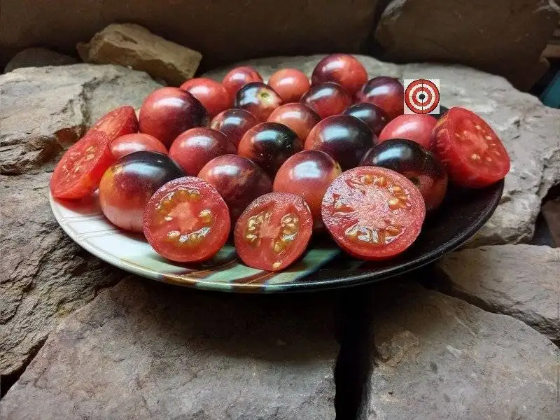 Black Strawberry Tomato - Image 3