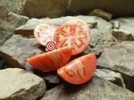 Blane's CPO x DCH Tomato - Image 4