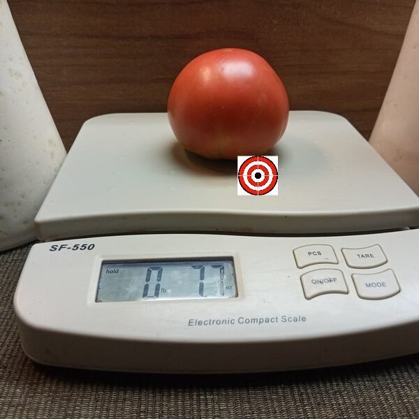 Blane's CPO x DCH Tomato