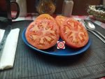 Blane's CPO x DCH Tomato Seeds