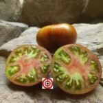 Blane's Surpriz Tomato