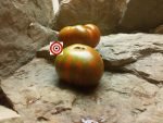 Blane's Surpriz Tomato by Blane Horton