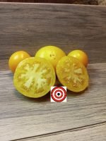 Blonde Boar Tomato by Brad Gates