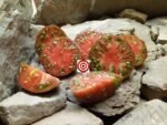 Blood Moon Tomato by Brad Gates