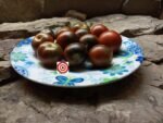 Blue Chocolate Tomato