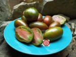 Boar's Tooth Tomato Seeds.