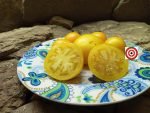 Brad Gates Blonde Boar Tomato