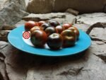 Brad Gates Tomato Blue Chocolate Tomato
