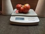 Bramki Tomato