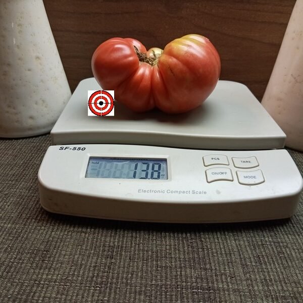 Bramki Tomato