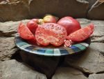 Bramki Tomato Seeds