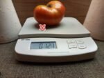 Brandywine OTV Tomato