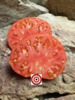Brandywine OTV Tomato Seeds