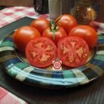 Brannar 3 Way (F4) Tomato