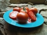 Brannar 3 Way F4 Tomato by Bill Jeffers