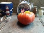 Buffalo Heart Giant Tomato