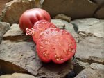 Butler Skinner Tomato