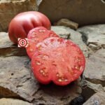 Butler Skinner Tomato