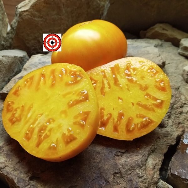 Bychbie's Heart Tomato
