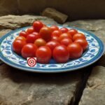 Canary Island Tomato