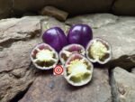 Amethyst Pepper - Image 4