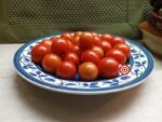 Cherry Tomato Canary Island Tomato