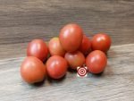 Container Tomato Bendigo Blush Dwarf Tomato