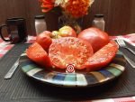 Dan McMurray Tomato Bramki