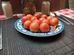 Dwarf Bendigo Blush Tomato