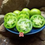 Dwarf Beryl Beauty Tomato