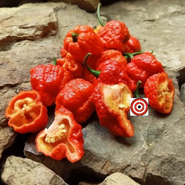 Genghis Khan Pepper