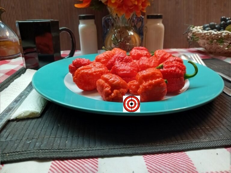 Genghis Khan PepperBounty Hunter SeedsPepper Seeds