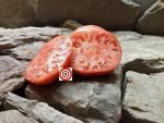 Heirloom Tomato Buffalo Heart Giant Tomato
