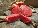 Heirloom Tomato De Giorgi Acme Tomato