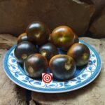 Indigo Blue Chocolate Cherry Tomato Seeds