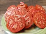 Murhurlu Tomato Seeds