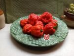 Genghis Khan Pepper - Image 3