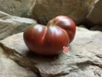 Organic Tomato Black Master Tomato