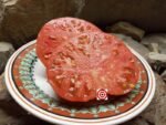 Tomato Brandywine OTV Tomato