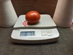 Tomato Brannar 3 (F4) Way Tomato